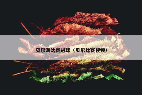 贝尔淘汰赛进球（贝尔比赛视频）