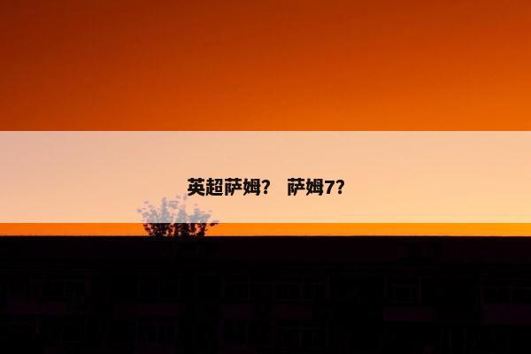 英超萨姆？ 萨姆7？