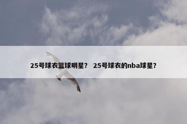 25号球衣篮球明星？ 25号球衣的nba球星？