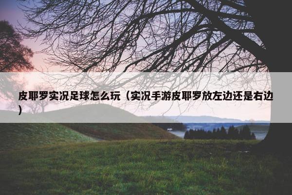 皮耶罗实况足球怎么玩（实况手游皮耶罗放左边还是右边）