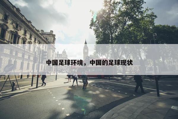 中国足球环境，中国的足球现状