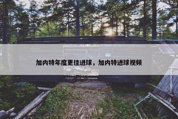 加内特年度更佳进球，加内特进球视频