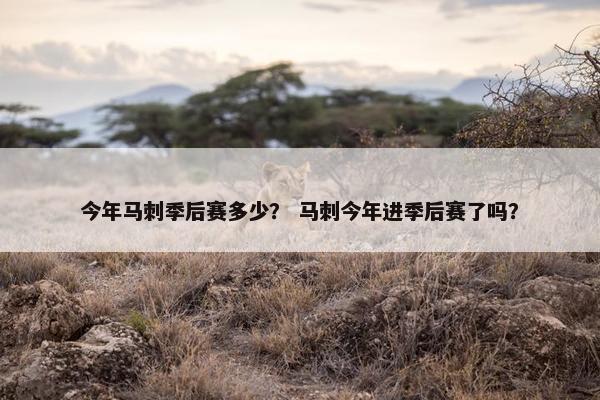 今年马刺季后赛多少？ 马刺今年进季后赛了吗？