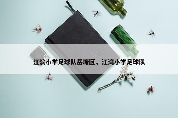 江滨小学足球队岳塘区，江湾小学足球队