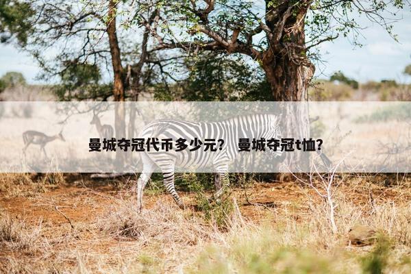 曼城夺冠代币多少元? 曼城夺冠t恤? 曼城夺冠代币多少元? 曼城夺冠t恤?