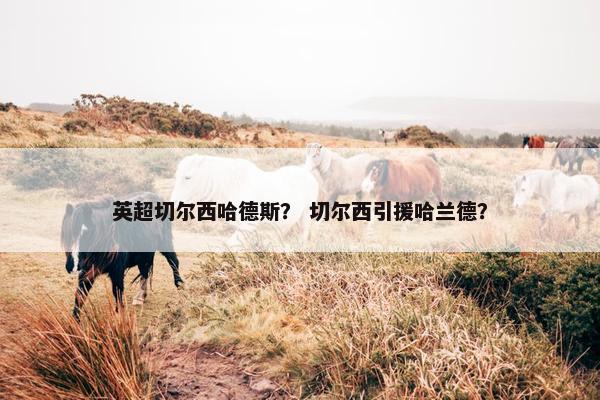 英超切尔西哈德斯？ 切尔西引援哈兰德？