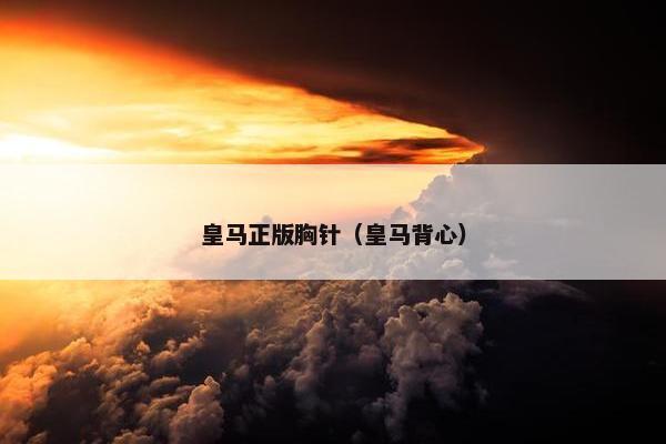 皇马正版胸针（皇马背心）