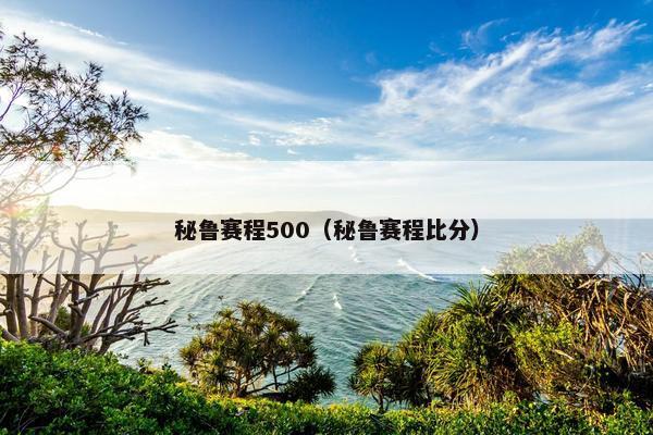 秘鲁赛程500（秘鲁赛程比分）