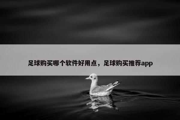 足球购买哪个软件好用点，足球购买推荐app