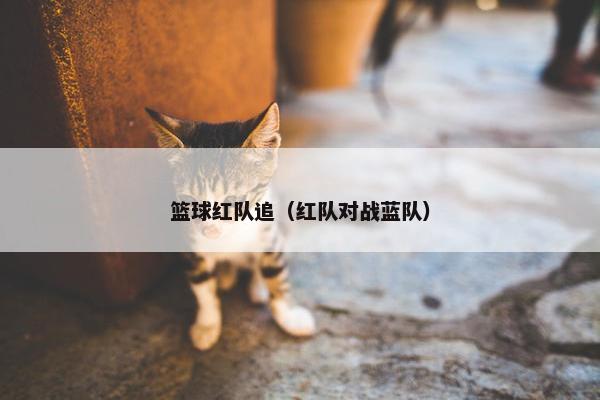 篮球红队追（红队对战蓝队）