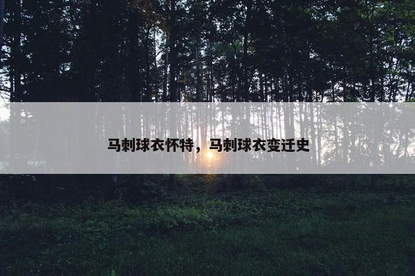 马刺球衣怀特,马刺球衣变迁史 马刺球衣怀特,马刺球衣变迁史