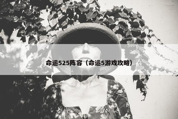 命运525阵容（命运5游戏攻略）