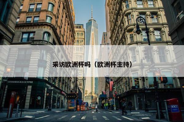 采访欧洲杯吗（欧洲杯主持）