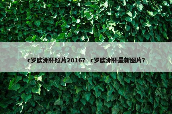 c罗欧洲杯照片2016？ c罗欧洲杯最新图片？