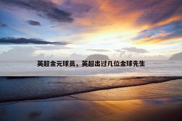 英超金元球员，英超出过几位金球先生