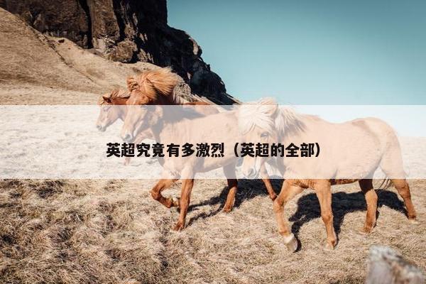 英超究竟有多激烈（英超的全部）