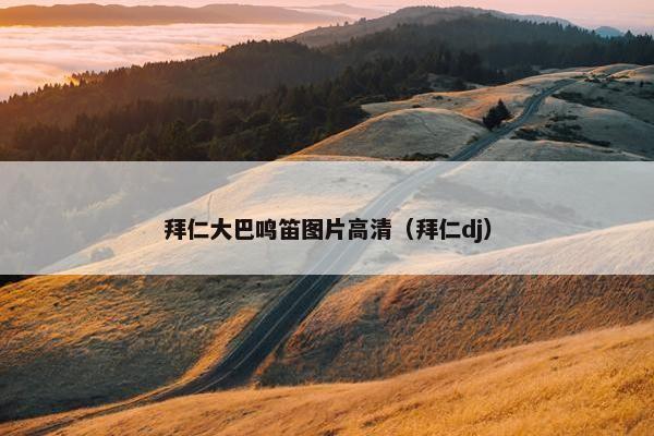 拜仁大巴鸣笛图片高清（拜仁dj）