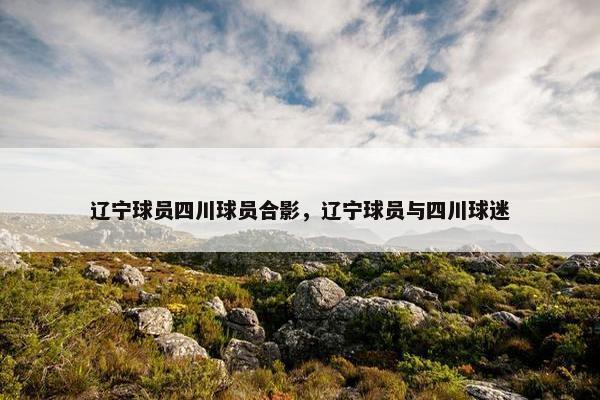 辽宁球员四川球员合影，辽宁球员与四川球迷
