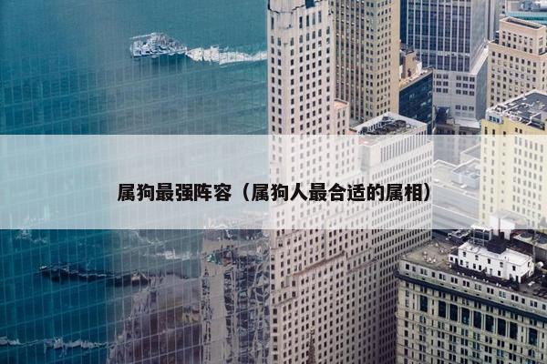 属狗最强阵容（属狗人最合适的属相）
