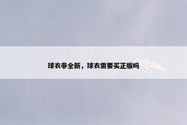 球衣非全新，球衣需要买正版吗