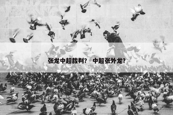 张龙中超裁判？ 中超张外龙？