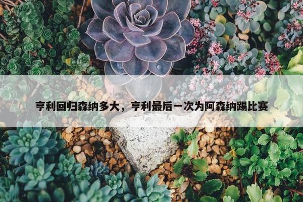 亨利回归森纳多大，亨利最后一次为阿森纳踢比赛