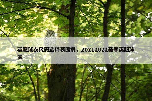 英超球衣尺码选择表图解，20212022赛季英超球衣