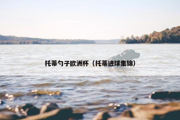 托蒂勺子欧洲杯（托蒂进球集锦）