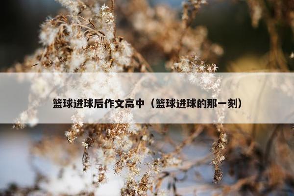 篮球进球后作文高中（篮球进球的那一刻）