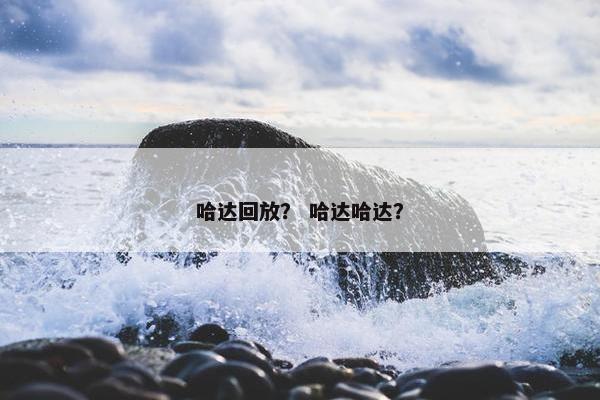 哈达回放？ 哈达哈达？