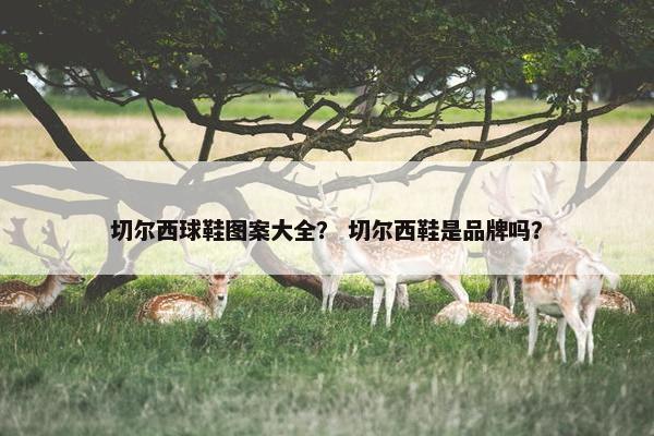 切尔西球鞋图案大全？ 切尔西鞋是品牌吗？