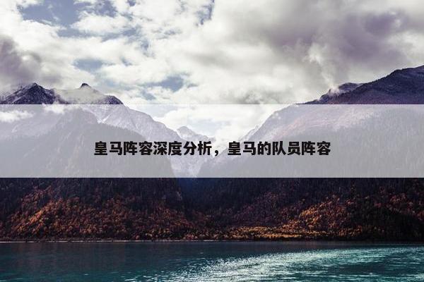 皇马阵容深度分析，皇马的队员阵容