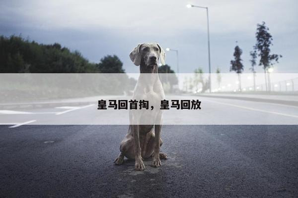 皇马回首掏，皇马回放