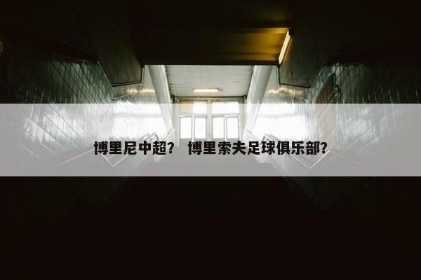 博里尼中超？ 博里索夫足球俱乐部？