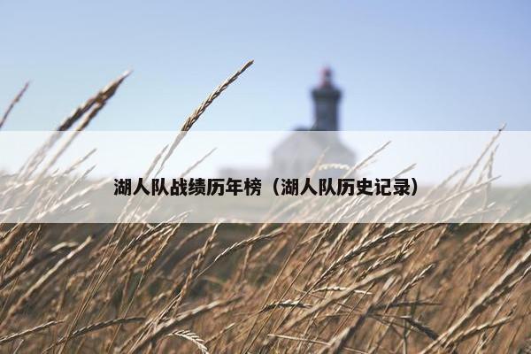 湖人队战绩历年榜（湖人队历史记录）