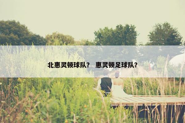 北惠灵顿球队？ 惠灵顿足球队？