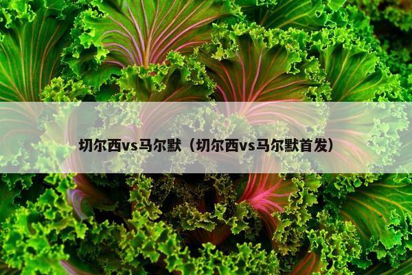 切尔西vs马尔默（切尔西vs马尔默首发）