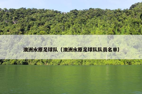 澳洲水原足球队（澳洲水原足球队队员名单）