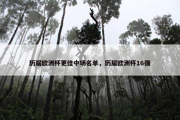 历届欧洲杯更佳中场名单，历届欧洲杯16强