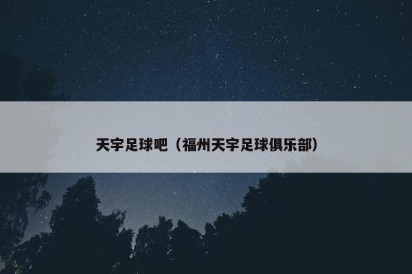 天宇足球吧（福州天宇足球俱乐部）