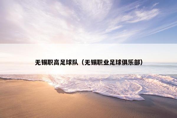 无锡职高足球队（无锡职业足球俱乐部）