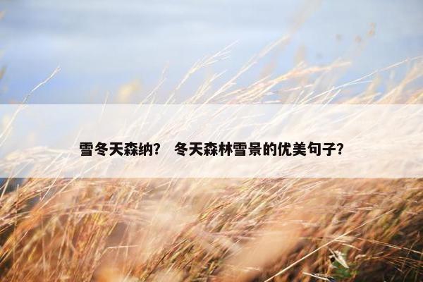 雪冬天森纳？ 冬天森林雪景的优美句子？