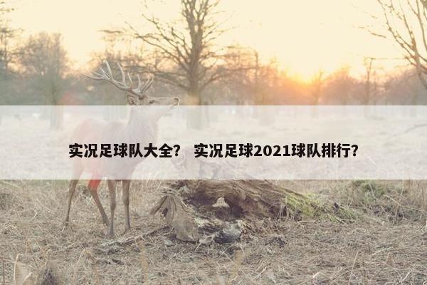 实况足球队大全？ 实况足球2021球队排行？