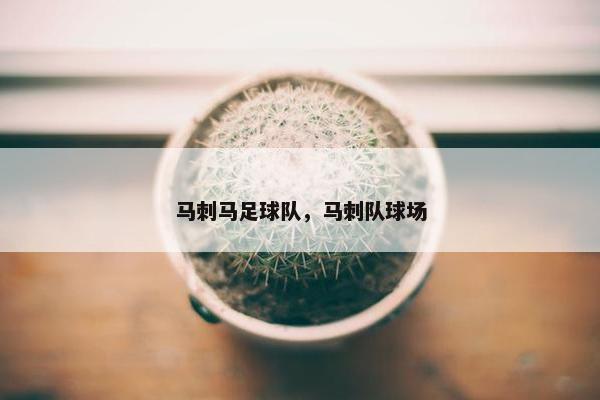 马刺马足球队，马刺队球场