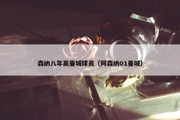 森纳八年赢曼城球员（阿森纳01曼城）
