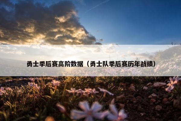 勇士季后赛高阶数据（勇士队季后赛历年战绩）