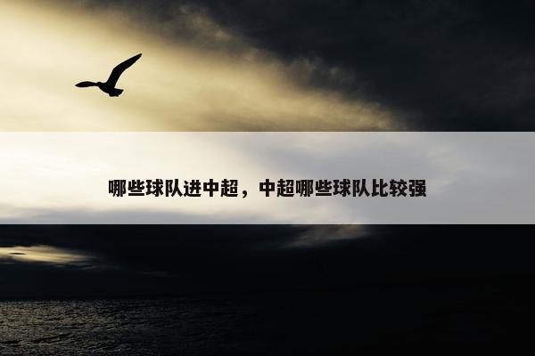 哪些球队进中超，中超哪些球队比较强