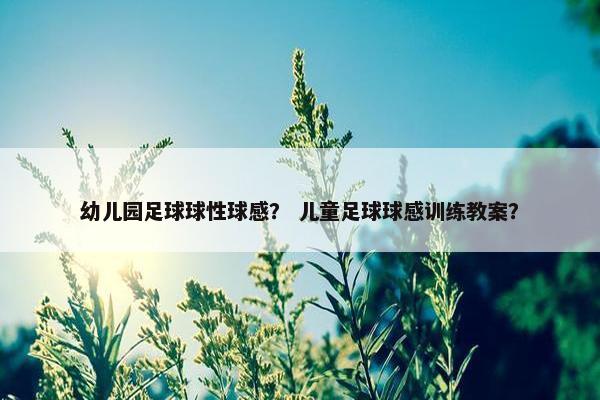 幼儿园足球球性球感？ 儿童足球球感训练教案？