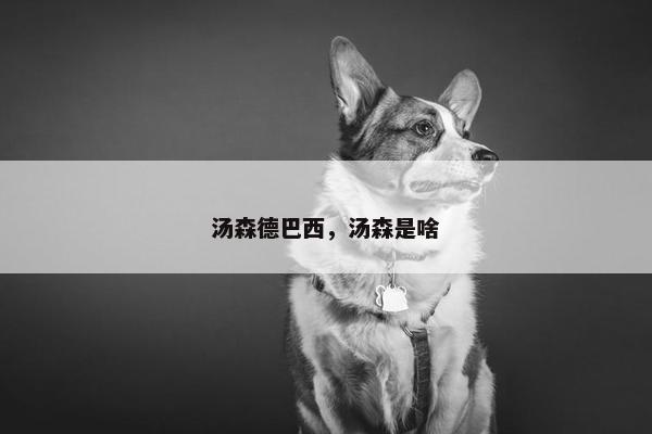 汤森德巴西，汤森是啥