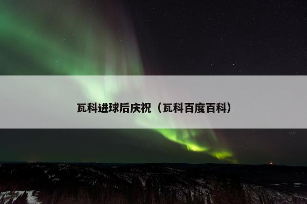 瓦科进球后庆祝（瓦科百度百科）